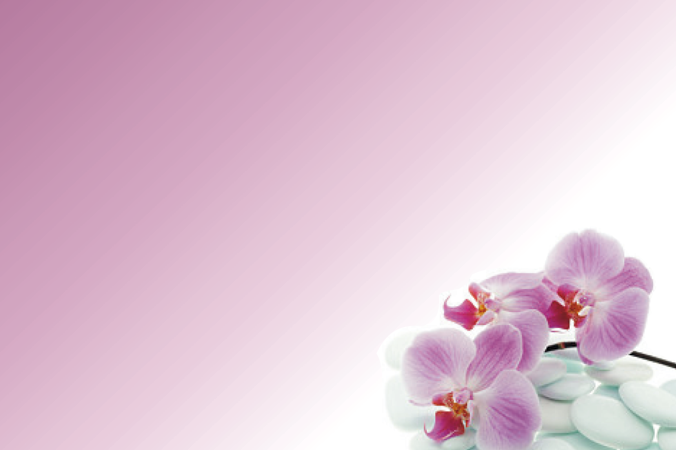 orchidee.1.683ebeb966cad